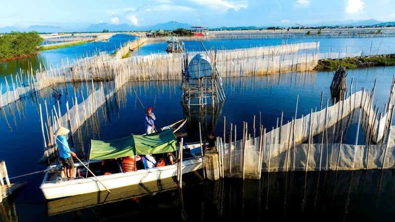A tour boat glides through fishing enclosures and bamboo poles on Tam Giang Lagoon at sunrise.