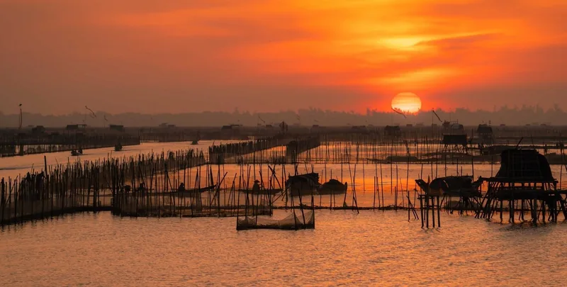 Fiery sunset over Tam Giang Lagoon with fishing stakes and boats silhouetted on calm water.